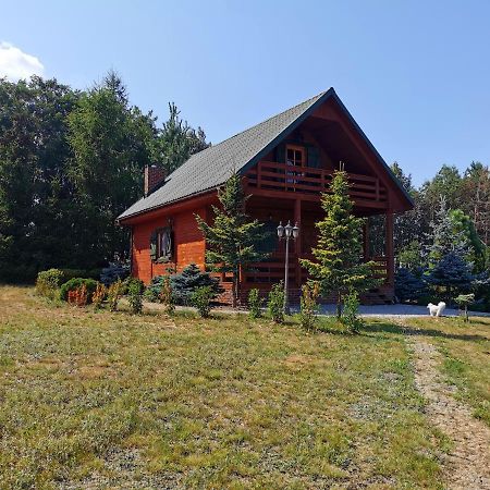 Domek Na Wsi Nad Jeziorem , Prywatny Staw Kamienczyk Dezerta 외부 사진