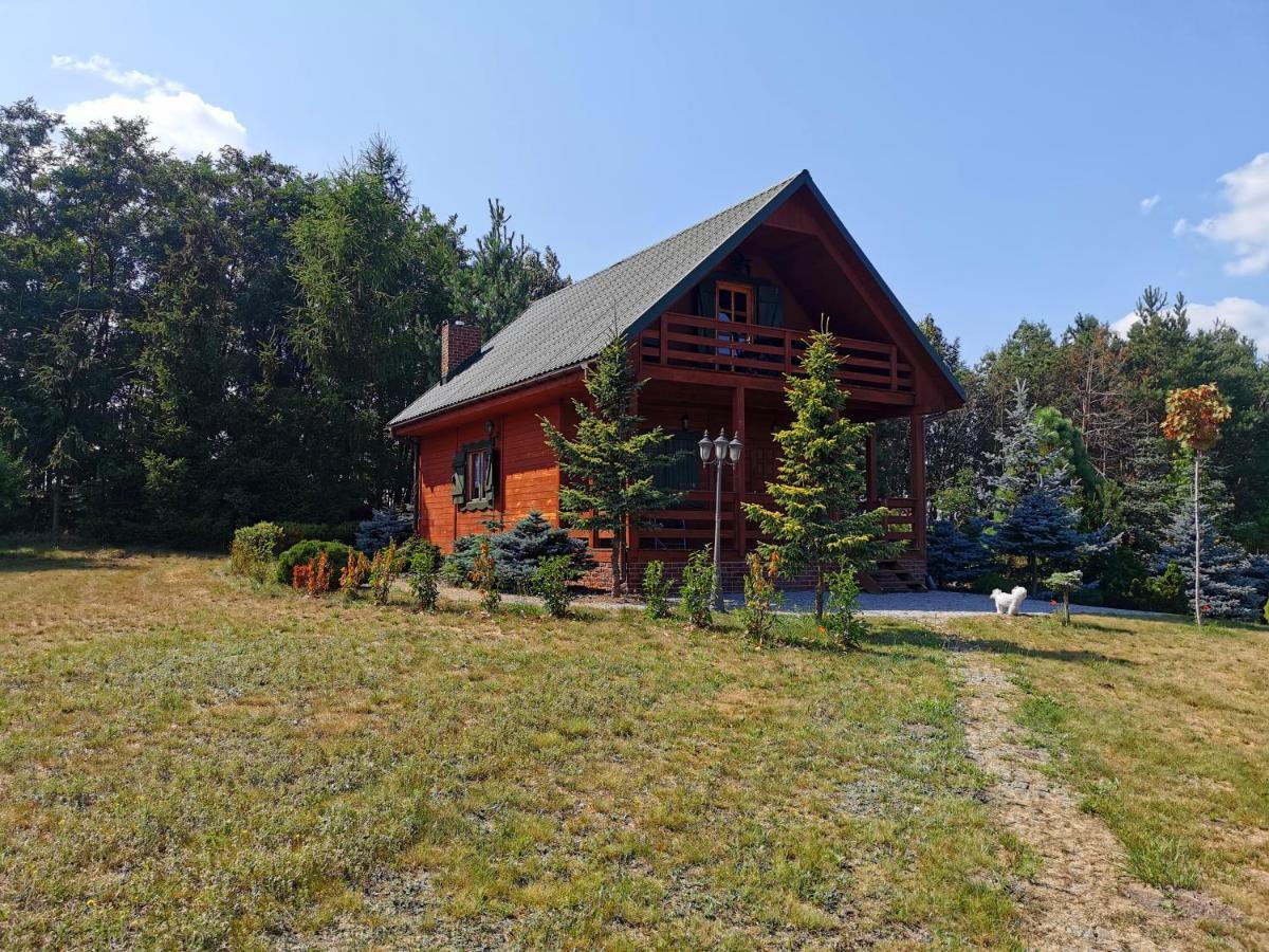 Domek Na Wsi Nad Jeziorem , Prywatny Staw Kamienczyk Dezerta 외부 사진